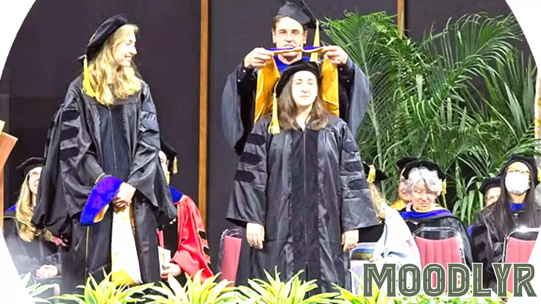 19 spot in the latest U.S. News & World Report rankings of Best Graduate Schools. This prominent placement underscores the program's sustained excellence in academic rigor, research contributions, and clinical training.