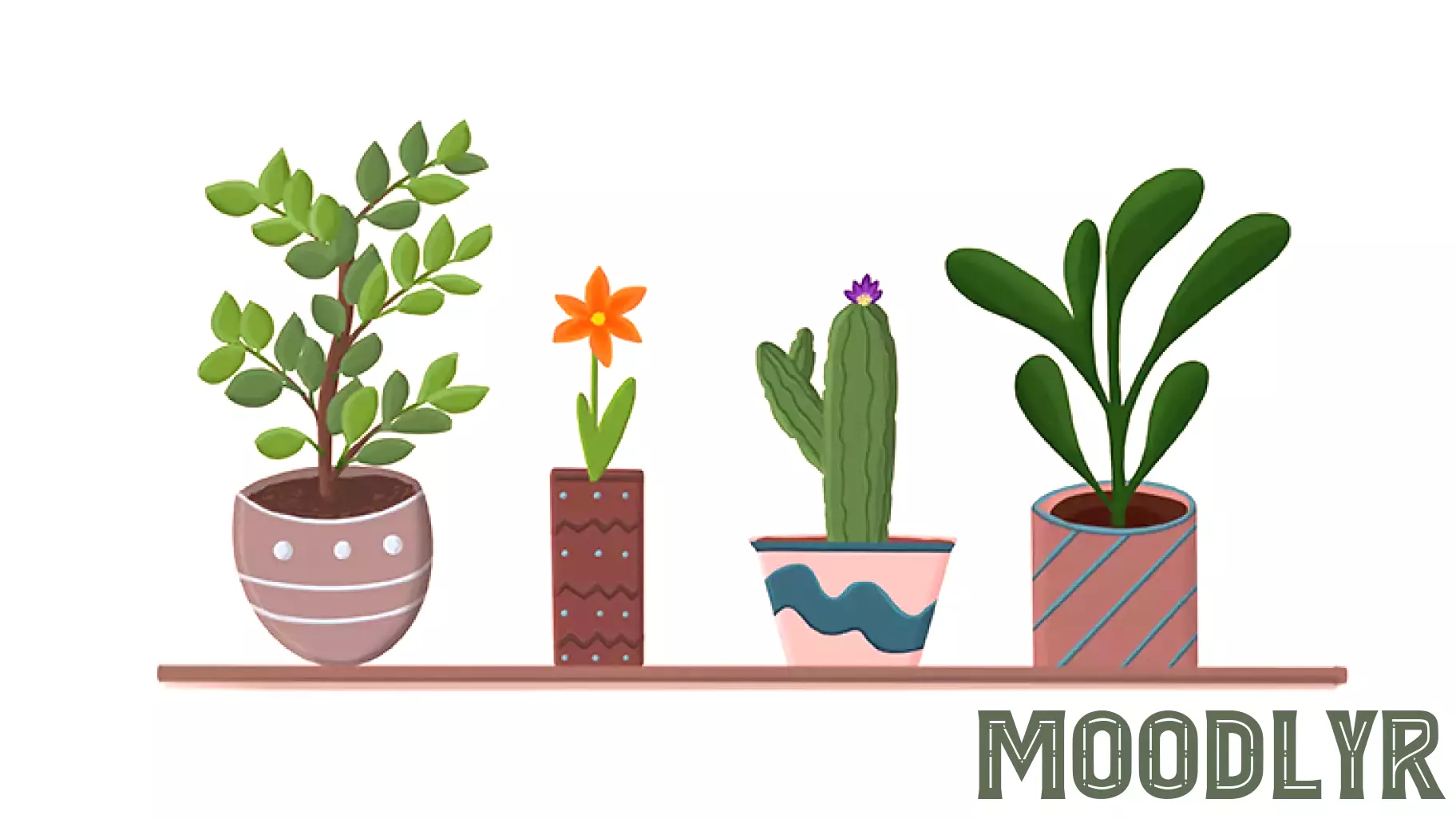 Can You Have Too Many Houseplants?