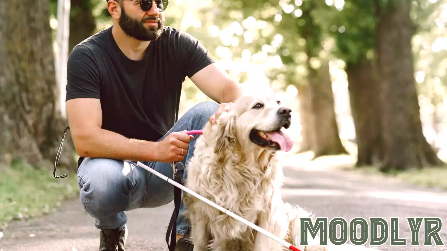 Catching Sight: Letting Guide Dogs Lead the Way as Teammates