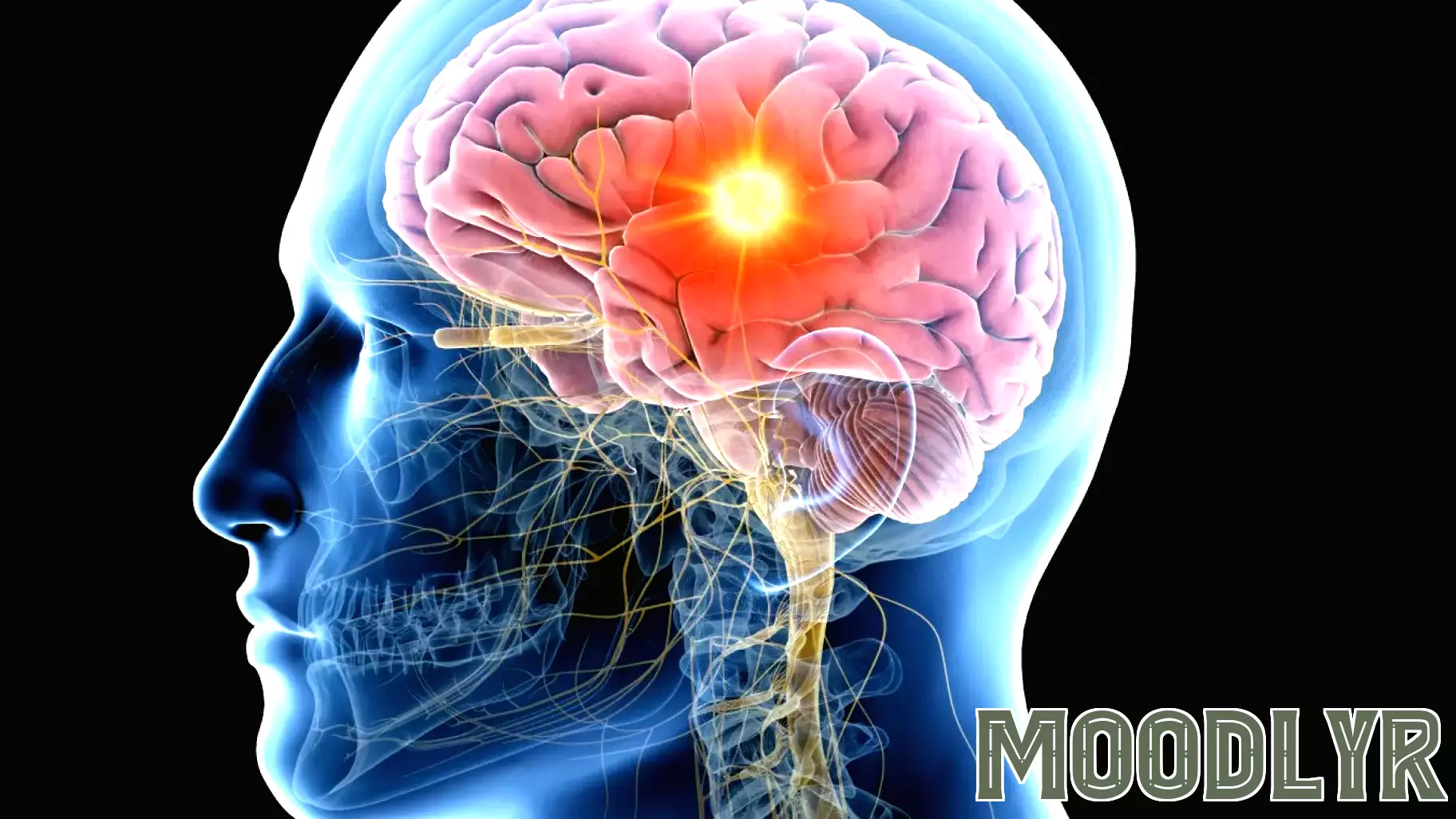 Essential Habits for Optimal Brain Health According to a Neuroscientist