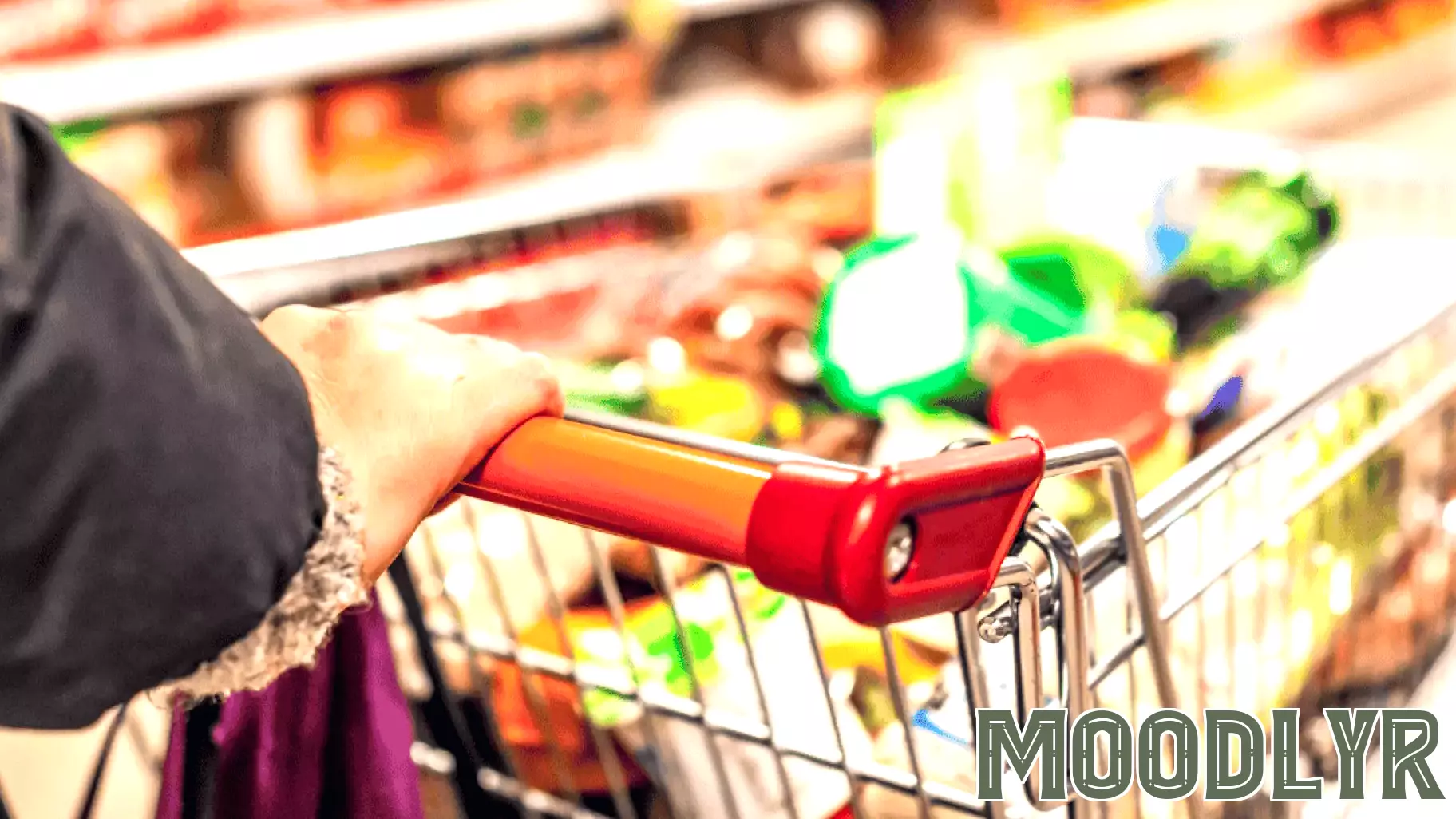 Grocery Drive Aids Over 100 Immigrant Families in Local Community