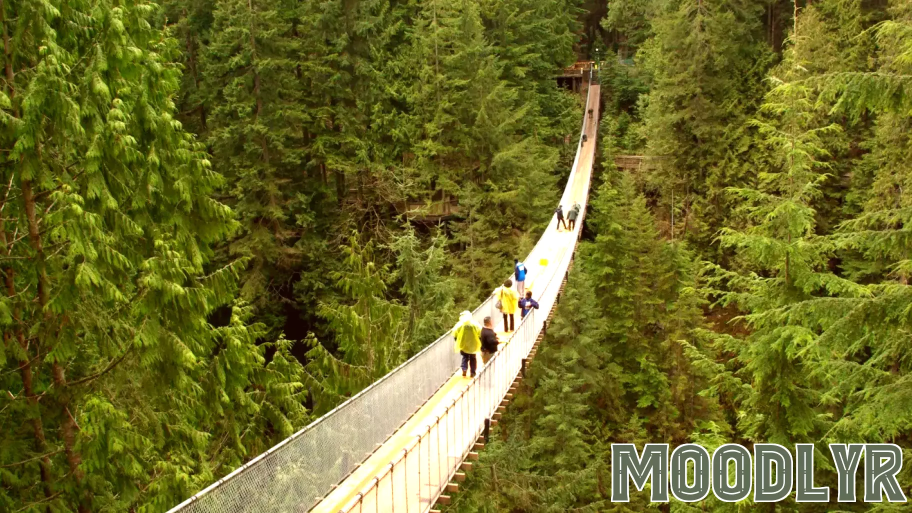 In 1974, psychologists found men were more likely to mistake fear for attraction after crossing a high, swaying suspension bridge