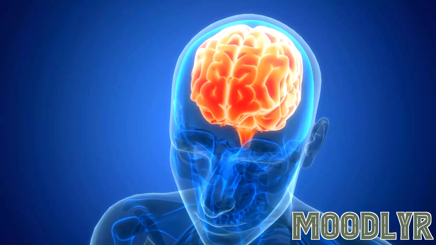 Psychology Tops College Major Searches in Indiana, Study Finds.