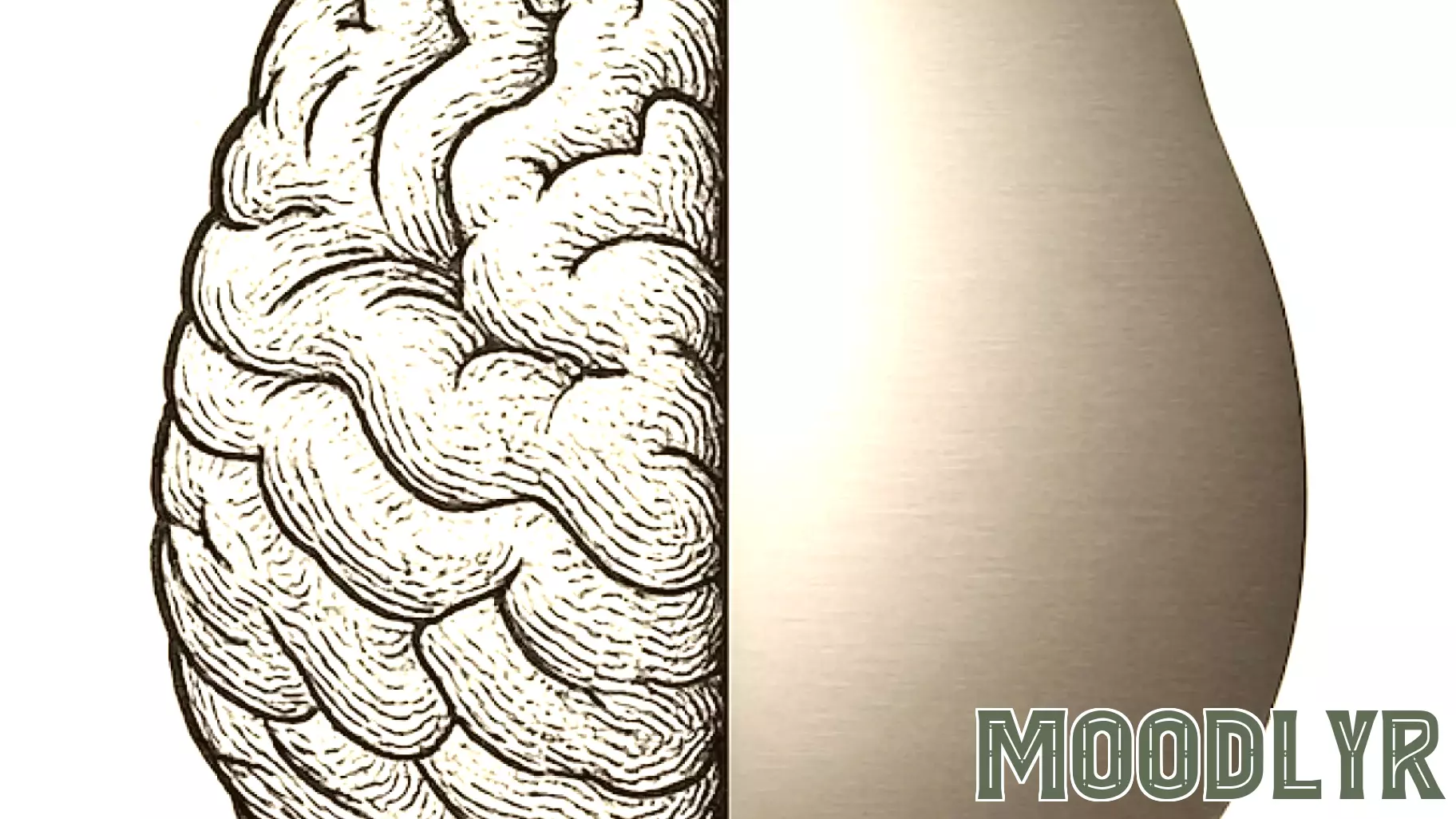 Rethinking the Cognitive Revolution: The User's Transformation