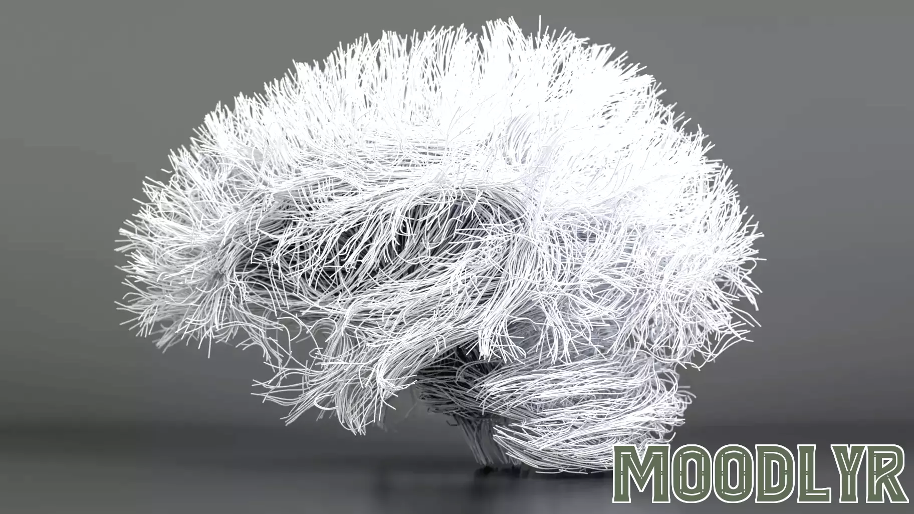 Scientists Harness AI to Replicate Human Thought Processes