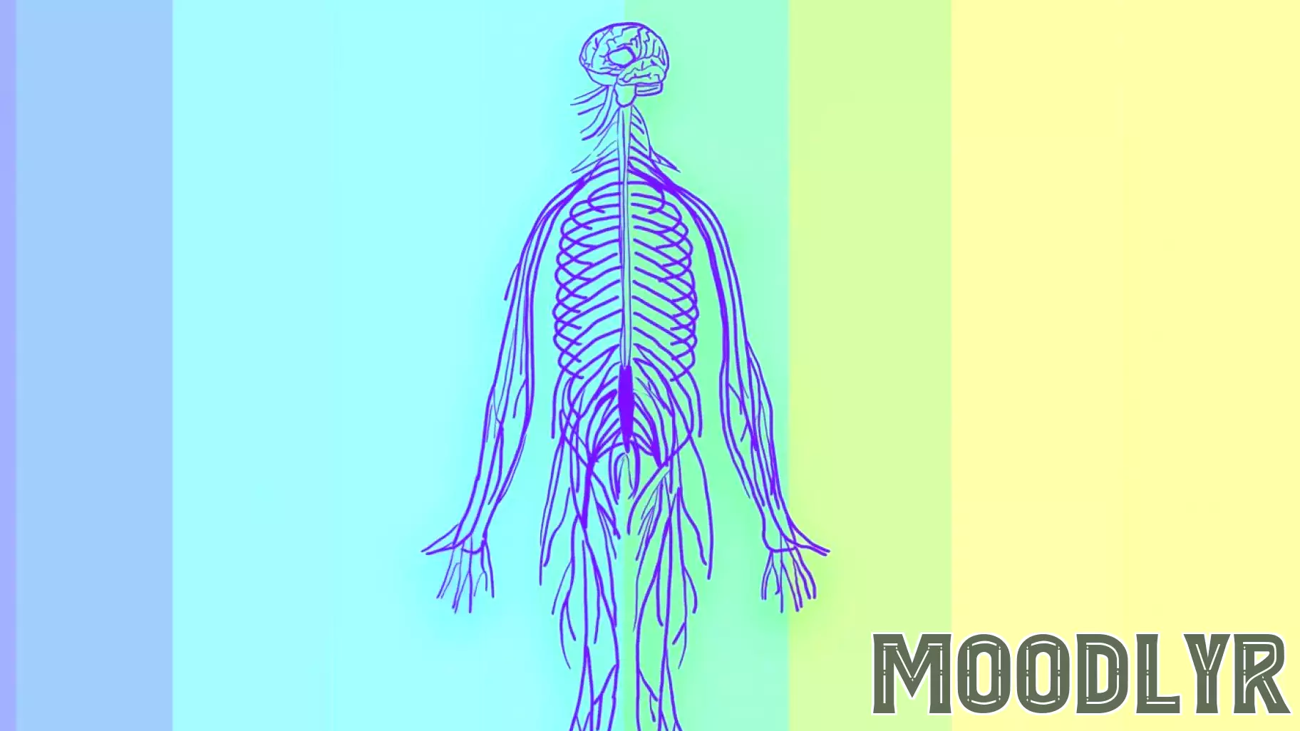 The Affective Side of Interoception