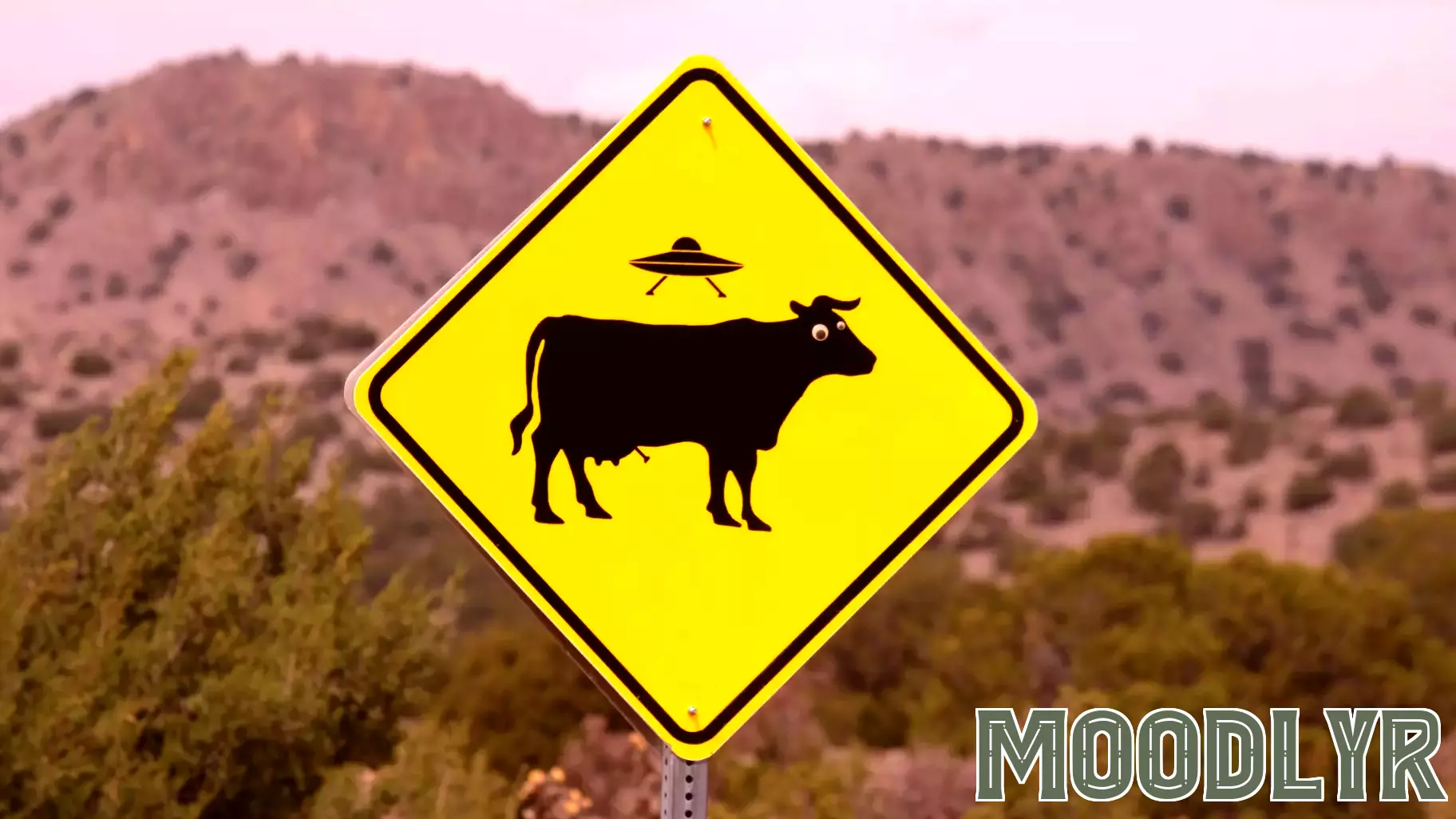 The Mysterious Case of Betty and Barney Hill: A Psychological Exploration