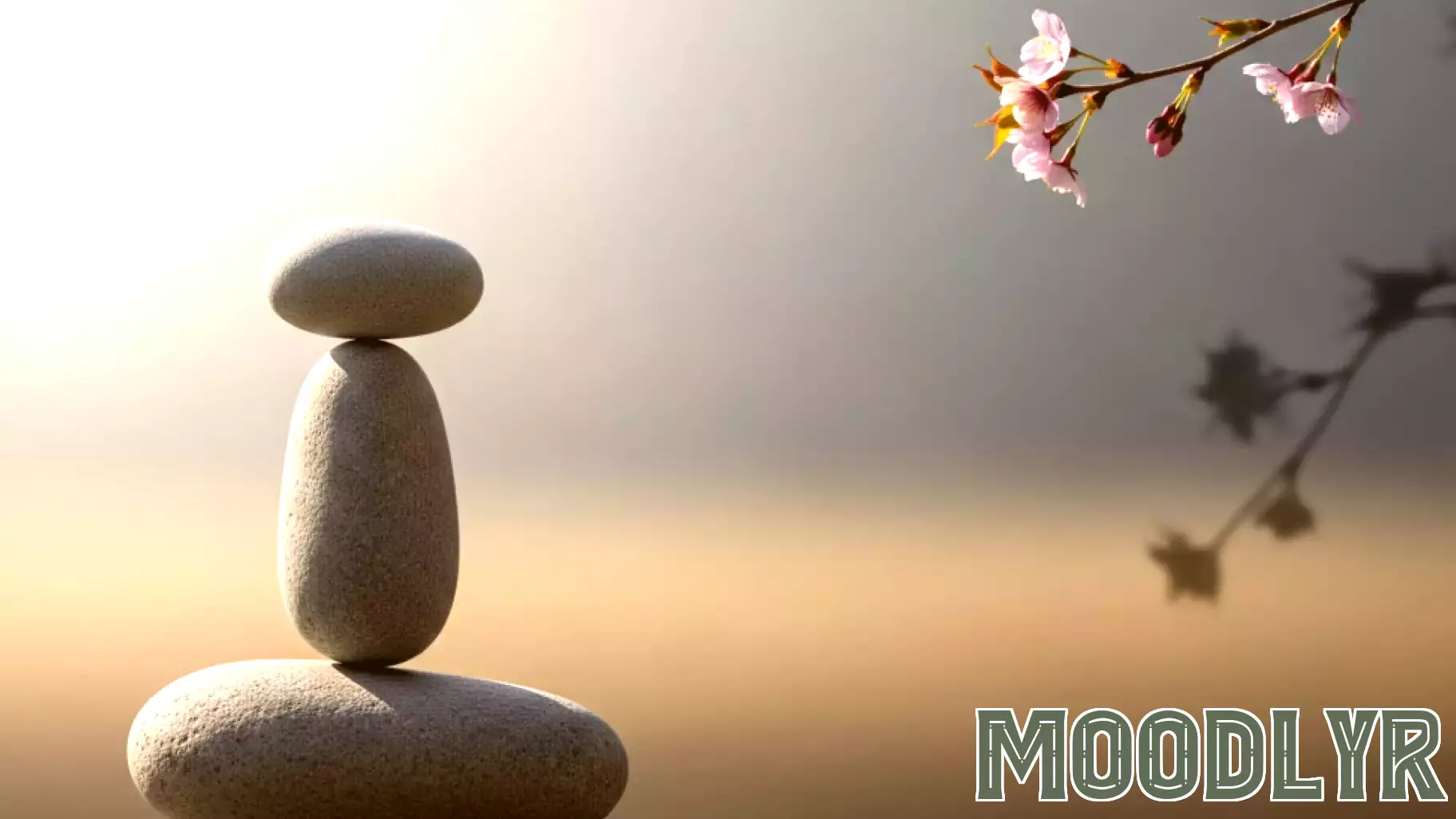 The psychology of hero worship: When admiration overrides reason