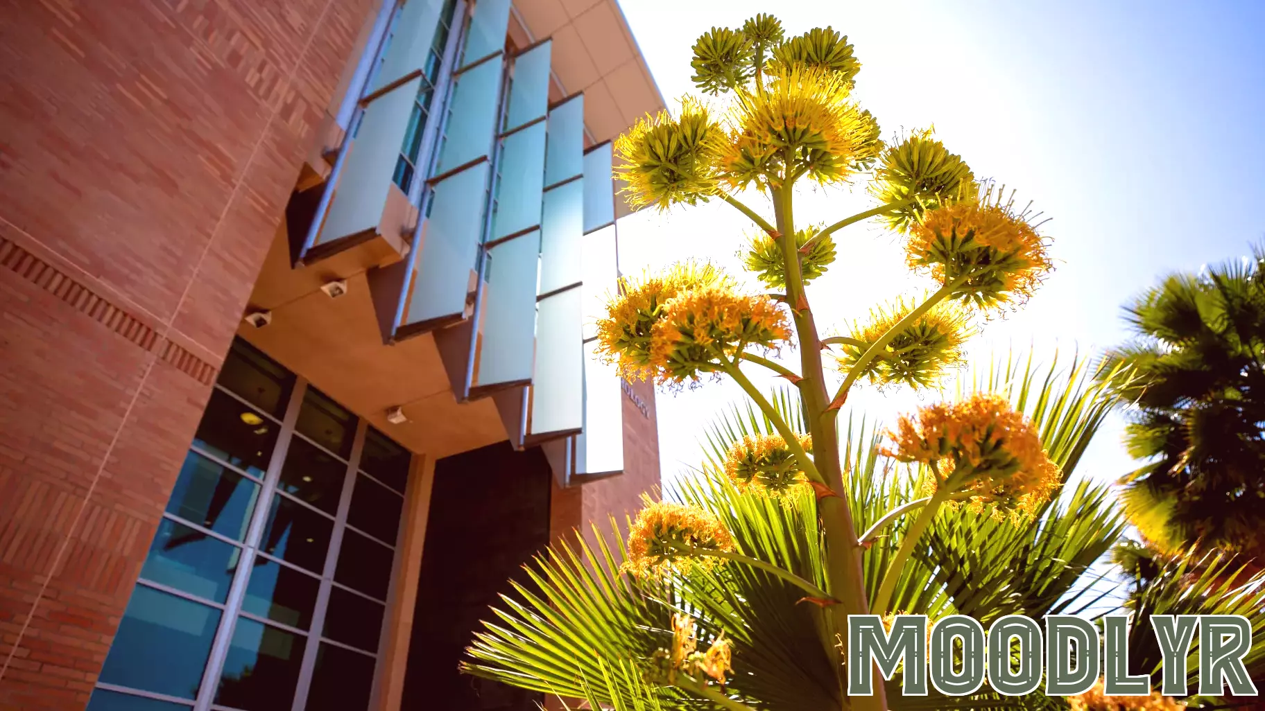 UC Riverside Researchers Awarded $4.7 Million Grant for Patience Study