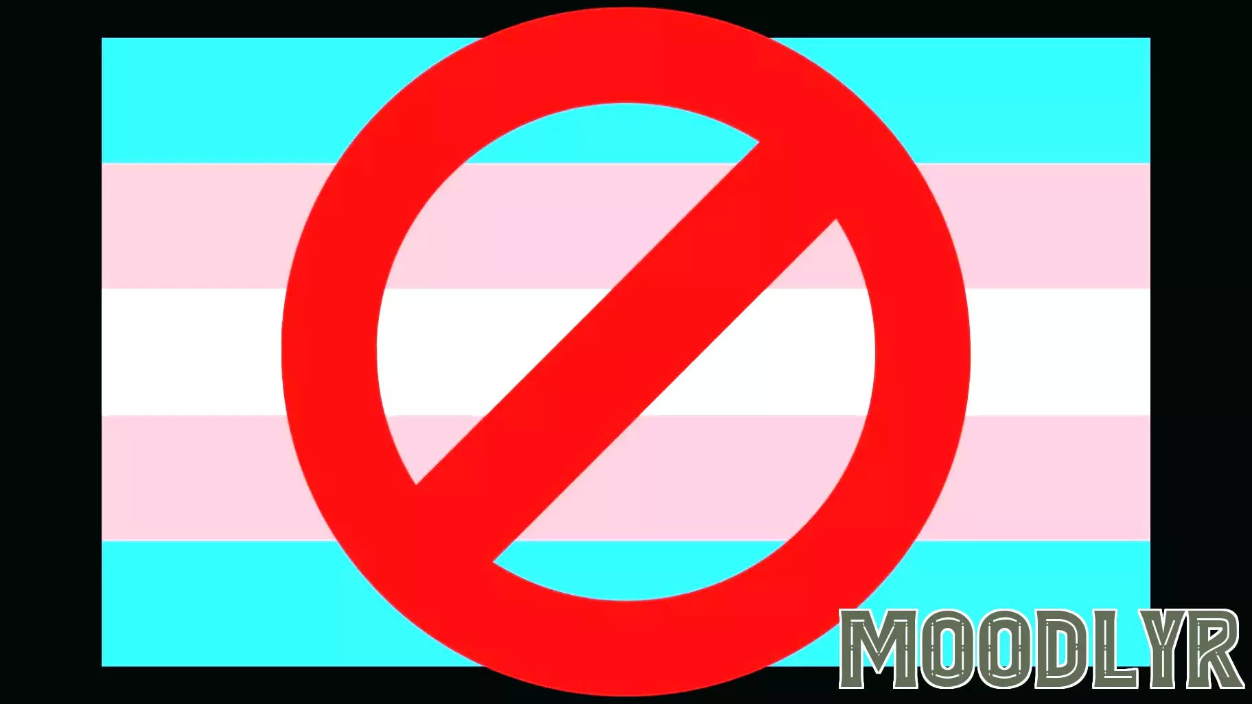 Understanding the Dynamics of In-Group and Out-Group in Anti-Trans Legislation