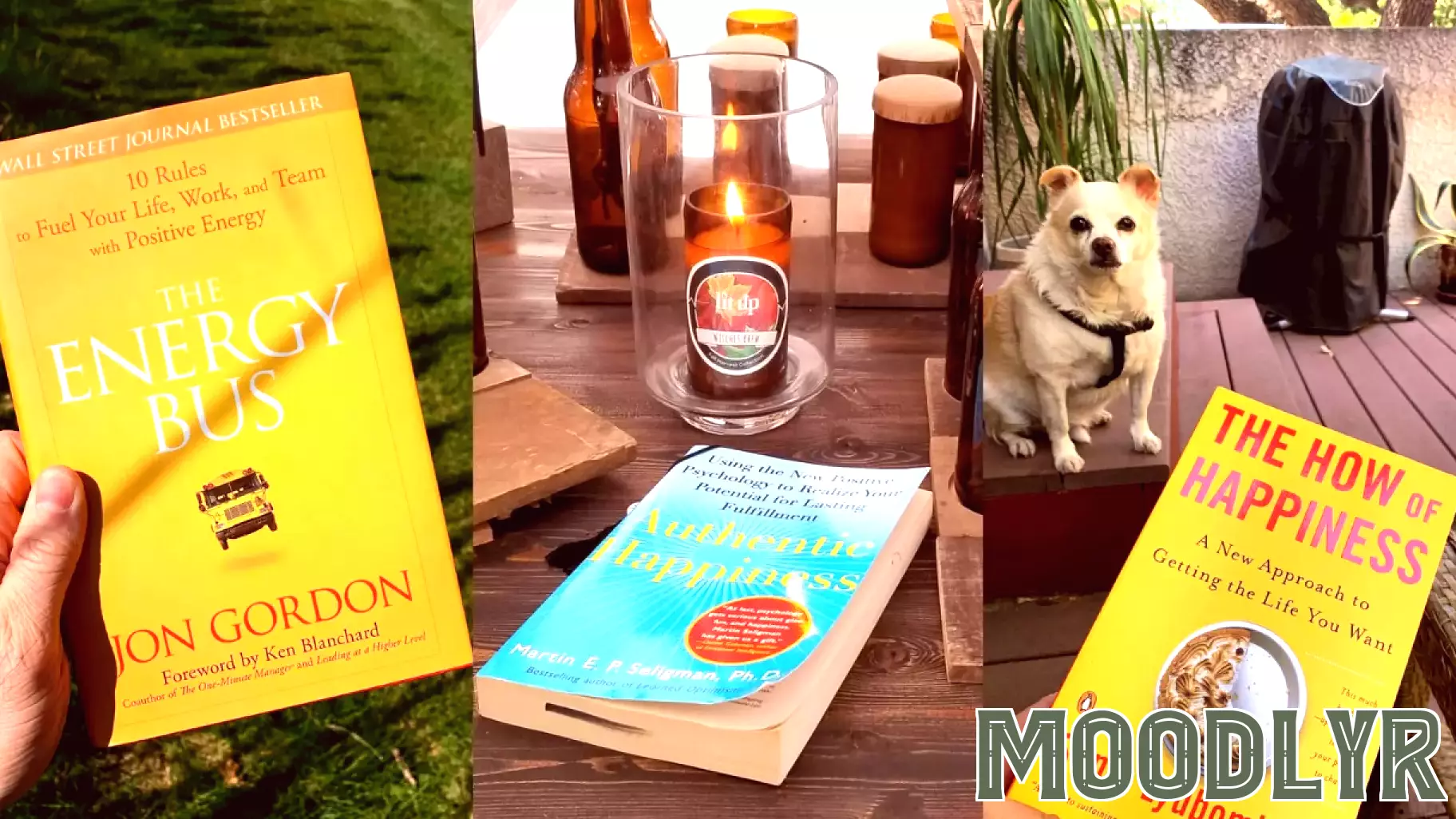 Unlocking the Secrets of Happiness: Insights from Psychology