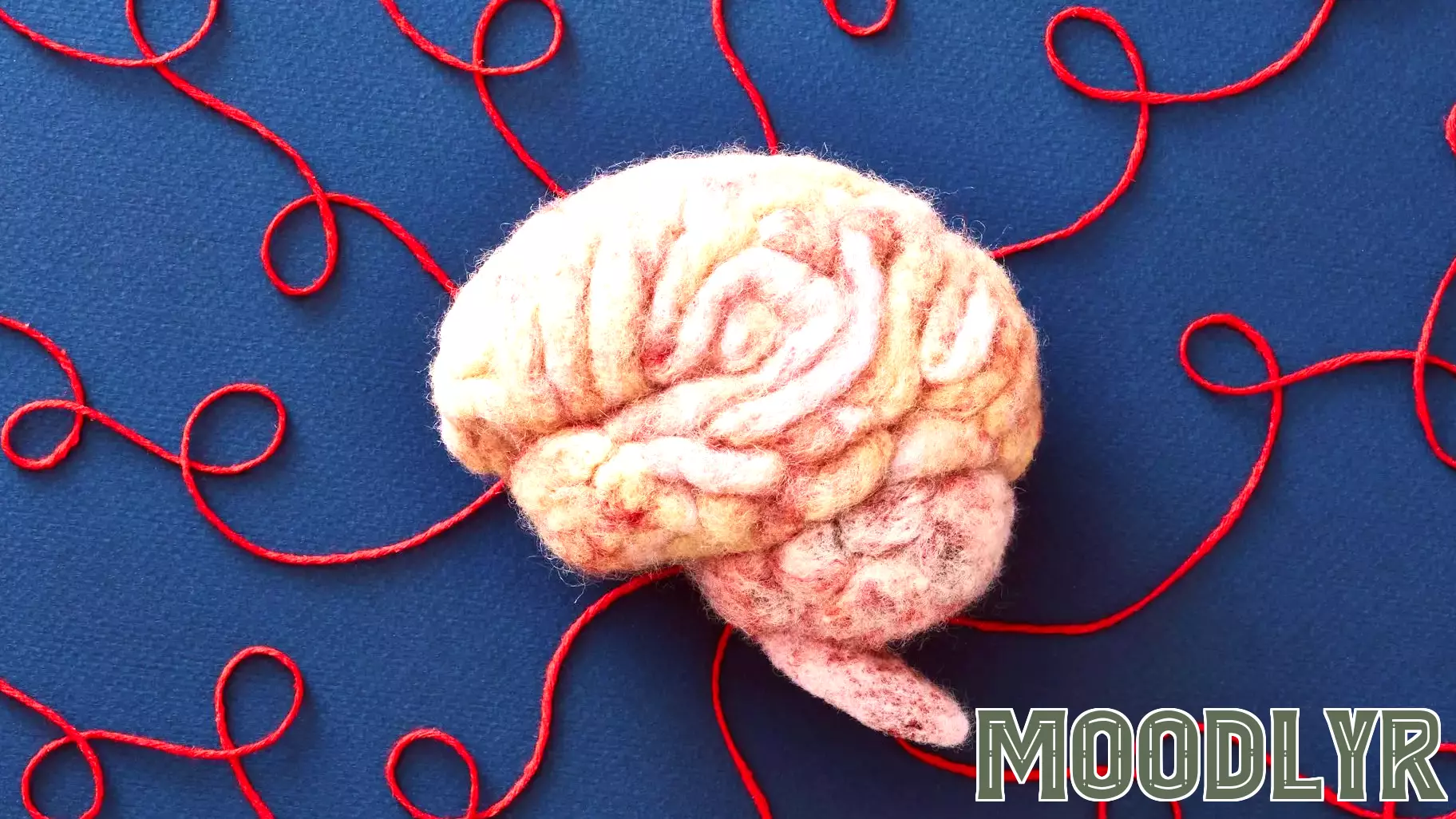 What is consciousness? Michael Pollan spent 4 years looking for the answer