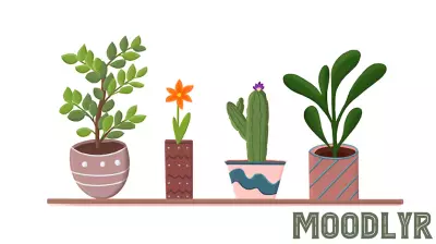 Can You Have Too Many Houseplants?