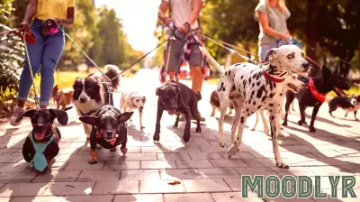 Canine Science Is Biased Toward the Western World