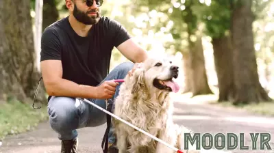 Catching Sight: Letting Guide Dogs Lead the Way as Teammates