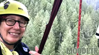 Discovering the Wisdom of Trees: Insights from 