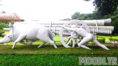 Embracing Authenticity: A Shift Away from Self-Improvement