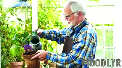 Engaging Activities to Boost Cognitive Health