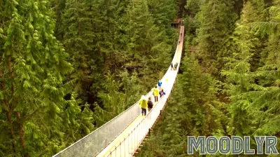 In 1974, psychologists found men were more likely to mistake fear for attraction after crossing a high, swaying suspension bridge