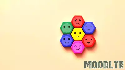 Leveraging Psychological Insights to Enhance Charitable Giving