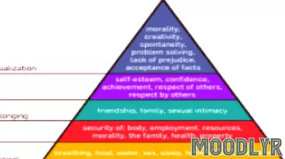 Psychology Emerges as Wisconsin's Top College Major