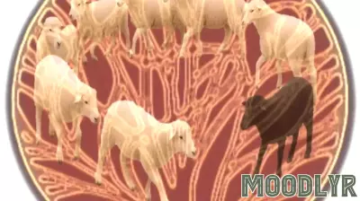 Rethinking Cultural Evolution: Beyond Darwinian Perspectives