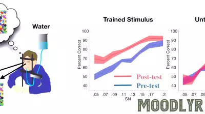 Rethinking Learning: Are We Just 'Tricking' Our Brains?