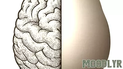 Rethinking the Cognitive Revolution: The User's Transformation