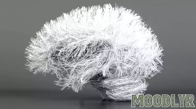 Scientists Harness AI to Replicate Human Thought Processes