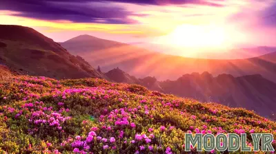 The Connection Between Laziness and Beauty: Exploring Aesthetic Benefits