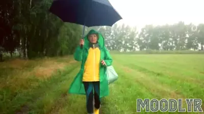 The Impact of Green: How This Color Influences Our Emotions and Consumer Behavior