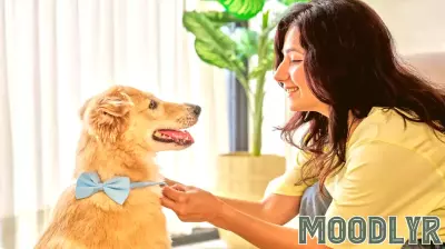 Understanding Emotional Needs Through Pet Spending