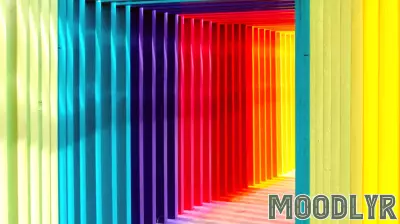 Understanding How Visual Language Shapes Digital Experiences