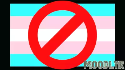 Understanding the Dynamics of In-Group and Out-Group in Anti-Trans Legislation