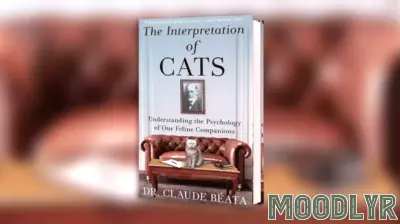 Unraveling the Mysteries of Feline Behavior