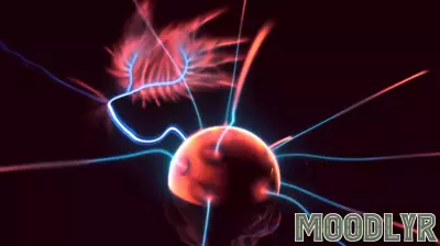 What Do Relatives Think About Electroconvulsive Therapy?